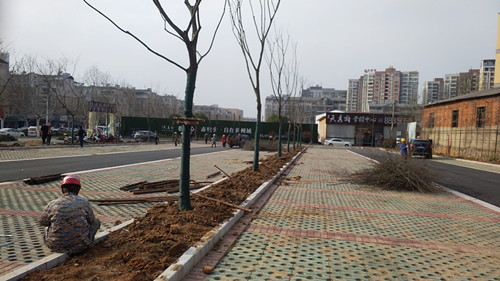 69d71535e9dea608805f7aaf08e2184_副本.jpg 69d71535e9dea608805f7aaf08e2184_副本.jpg